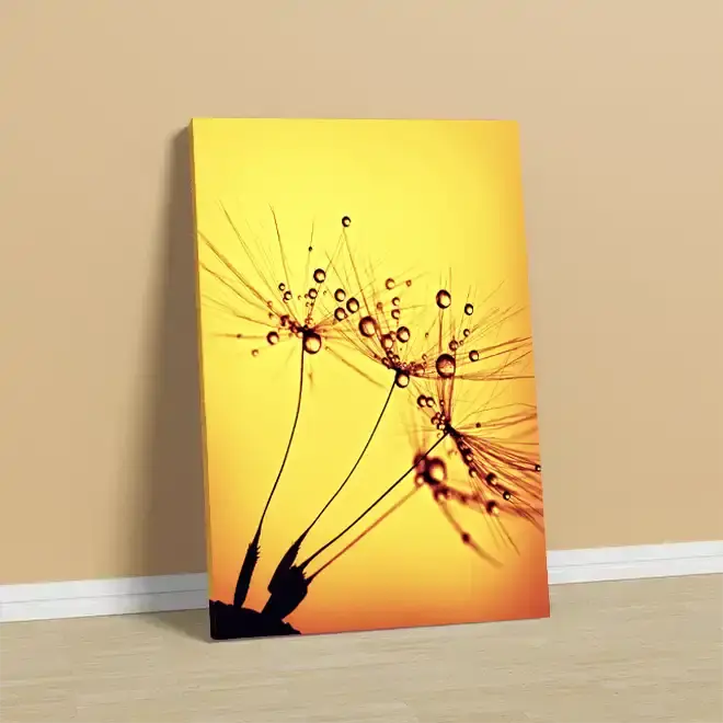 Rapidstudio Budget Canvas Range Product pic 5